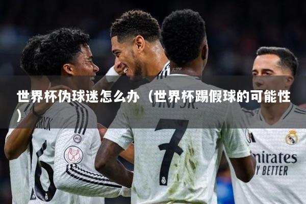 世界杯伪球迷怎么办（世界杯踢假球的可能性）