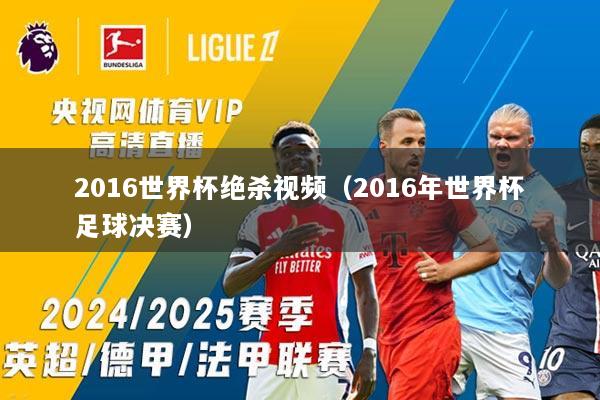 2016世界杯绝杀视频（2016年世界杯足球决赛）