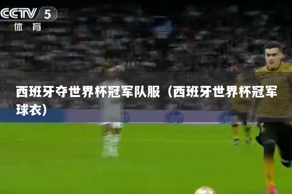 西班牙夺世界杯冠军队服（西班牙世界杯冠军球衣）